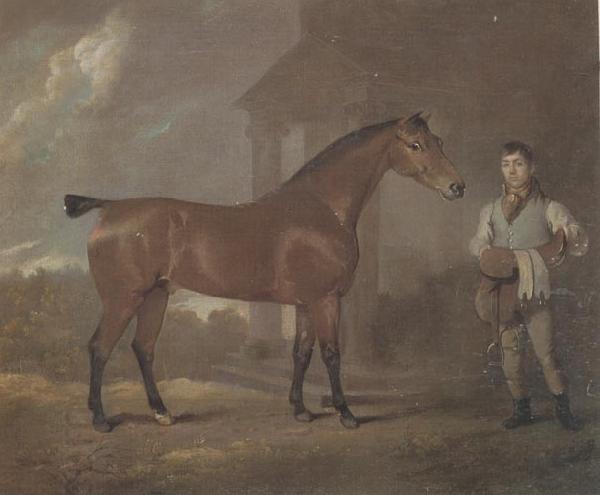 David Dalby The Racehorse 'Woodpecker' in a stall China oil painting art